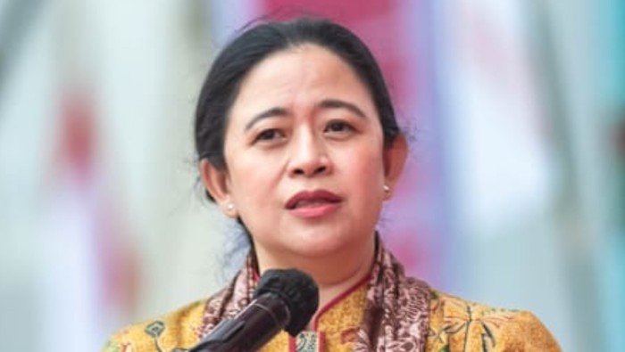 Kasus Cacar Monyet Meningkat
