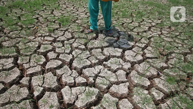 BMKG: Puncak Musim Kemarau,Penetapan status siaga bencana kekeringan di Provinsi Banten diakibat musim kemarau berkepanjangan sebagai dampak dari fenomena El Nino.