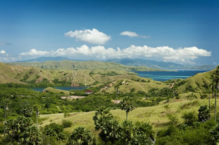 Pulau Rinca, Objek Wisata Alam di Pulau Flores